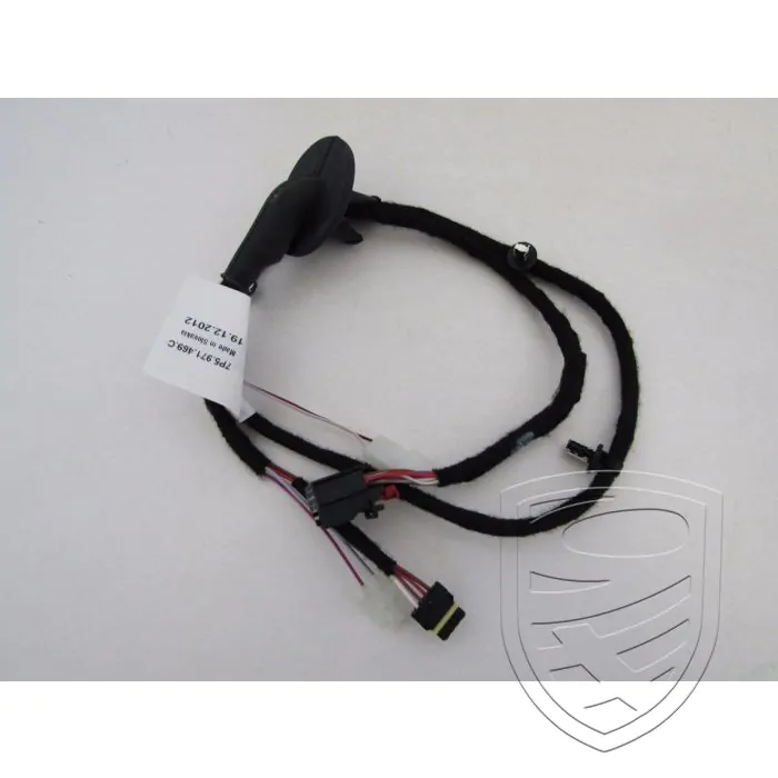Porsche 958 Cayenne Jeu de câbles rétroviseur extérieur Memory li 95861248915